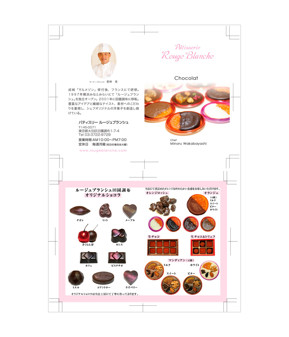 チョコレート総合リーフレット
